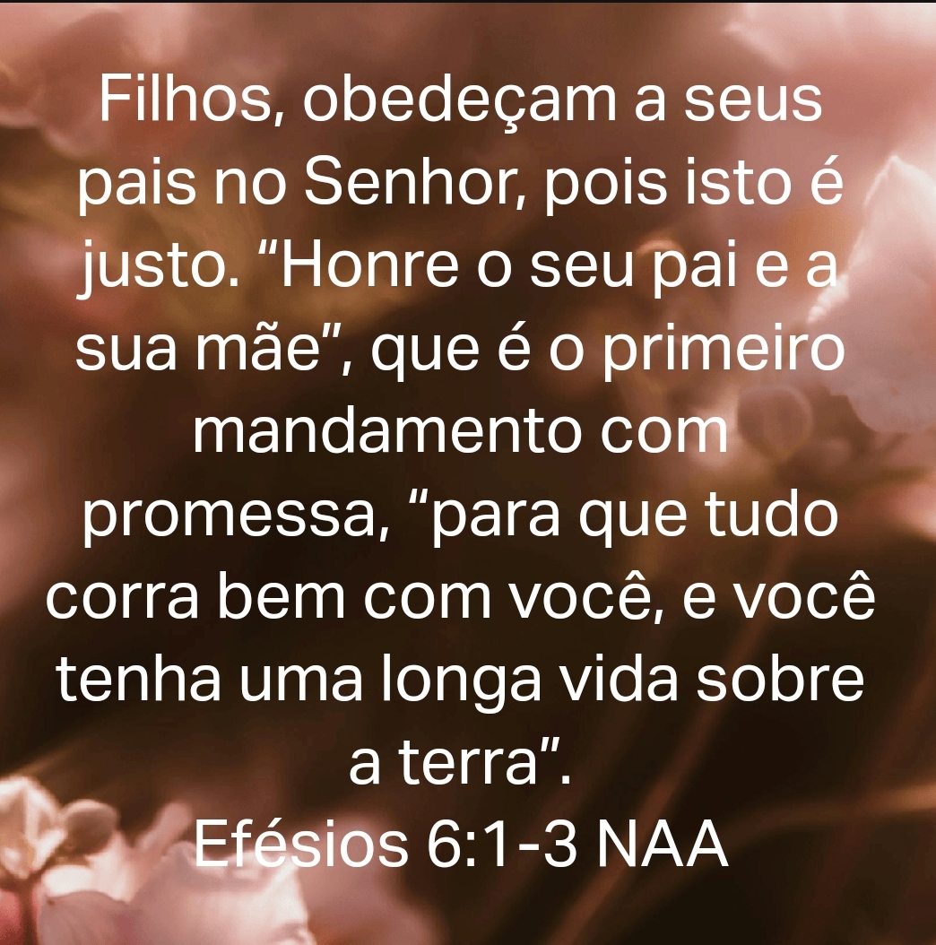 #5_197 Honrar pai e mãe vai além de obediência! – Mensagens do Evangelho